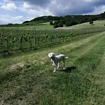 Julianna * Odernheim am Glan