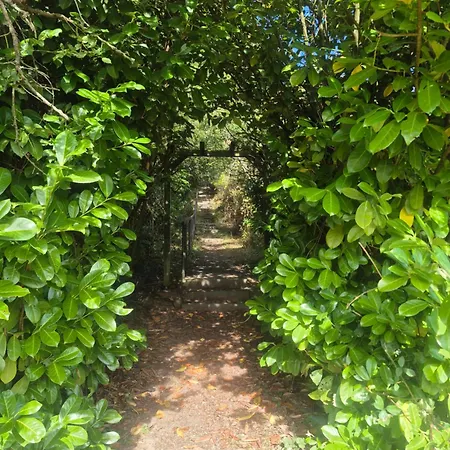 Апартаменты Julianna