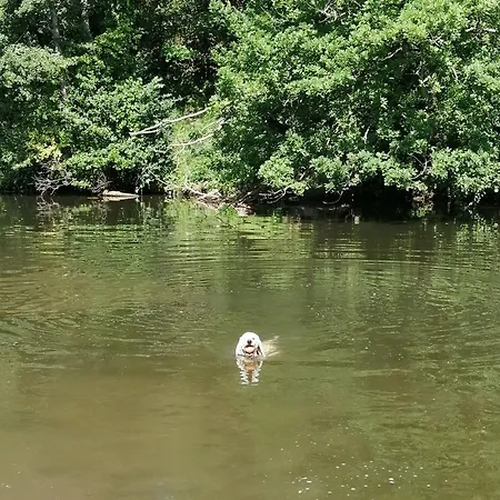 Julianna * Odernheim am Glan