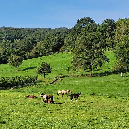 Julianna Апартаменты *