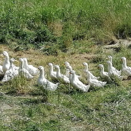 Julianna Odernheim am Glan