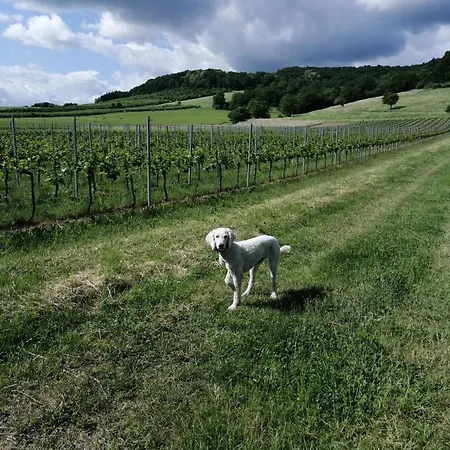 Julianna * Odernheim am Glan