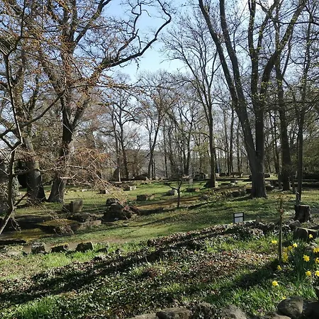 Julianna Апартаменты Odernheim am Glan