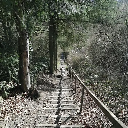 Julianna Апартаменты Odernheim am Glan