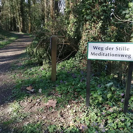 Апартаменты Julianna *