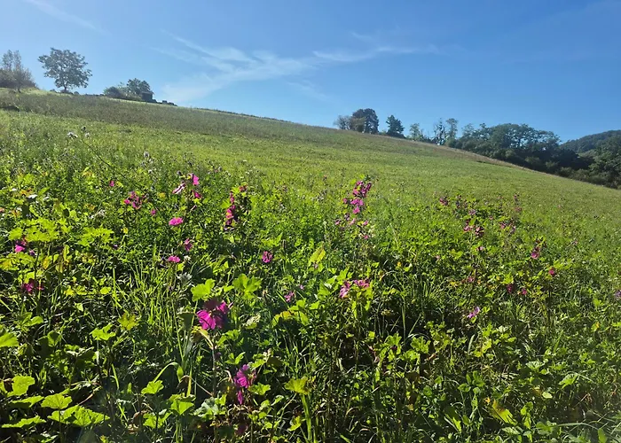 Julianna * Odernheim am Glan