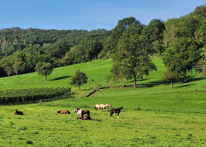 Julianna アパート *