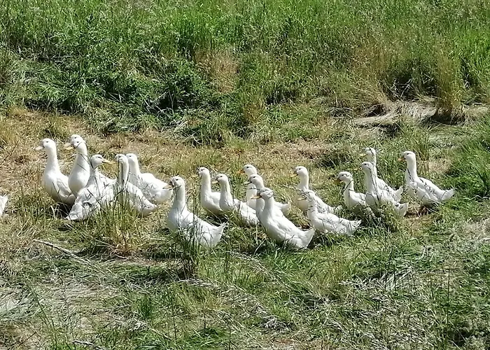Julianna Odernheim am Glan