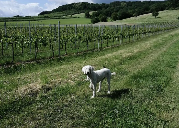 Julianna * Odernheim am Glan