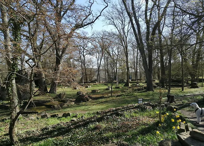 Julianna アパート Odernheim am Glan