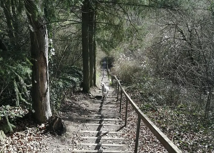 Julianna アパート Odernheim am Glan